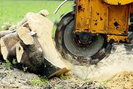 stump grinding and removal in kenosha wi