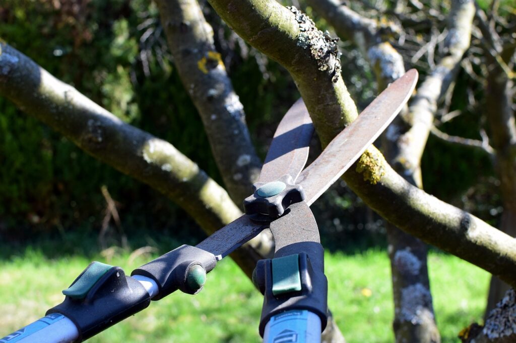 tree trimming kenosha wi